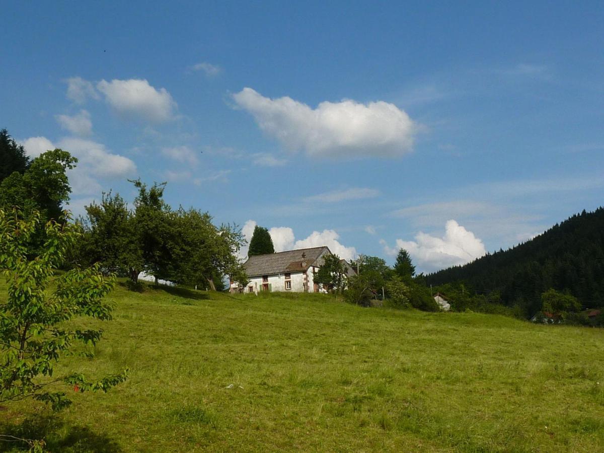 Charming Holiday Home Near The Ski Slopes Vagney Exterior photo