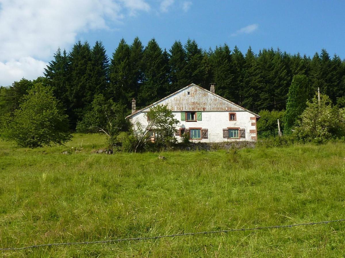 Charming Holiday Home Near The Ski Slopes Vagney Exterior photo